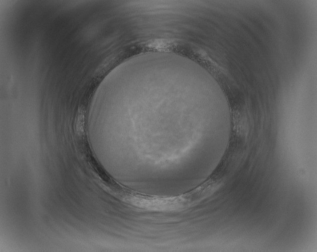 X0000082180036200702092321
