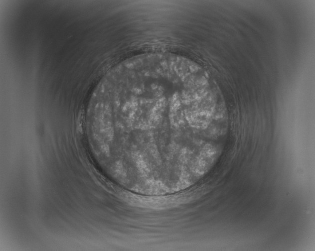 X0000082180038200702092321