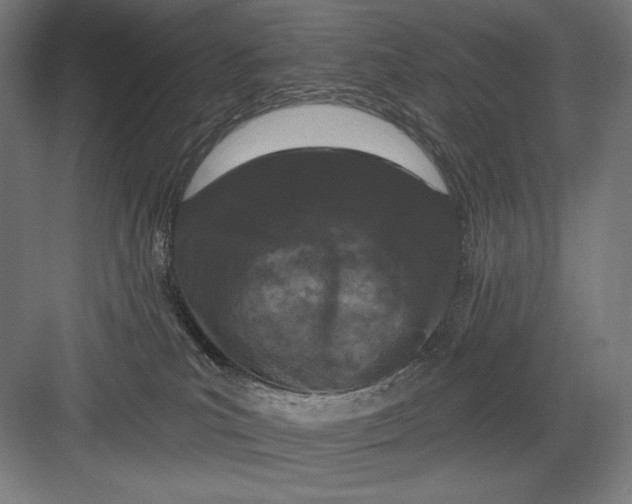 X0000082180039200702092321