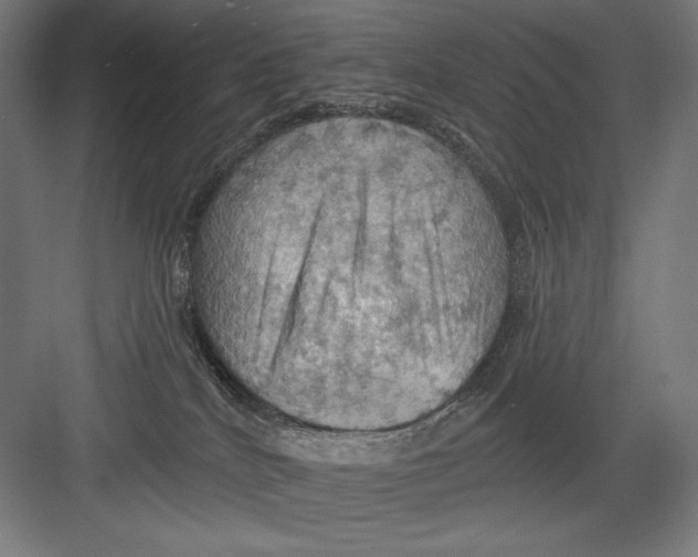 X0000082180040200702092321