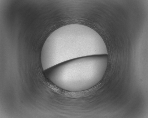 X0000082180041200702092321