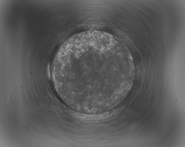 X0000082180042200702092321