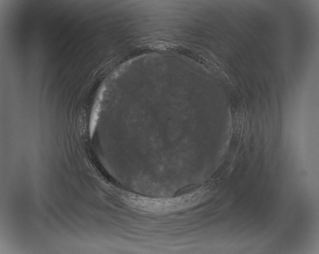 X0000082180043200702092321