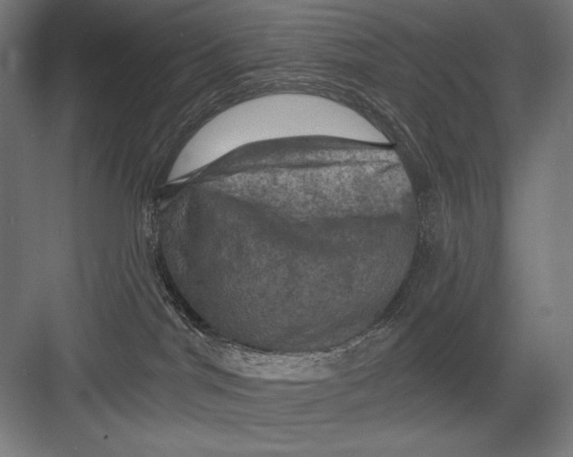 X0000082180044200702092321