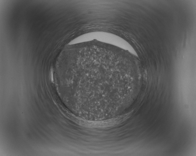 X0000082180046200702092321