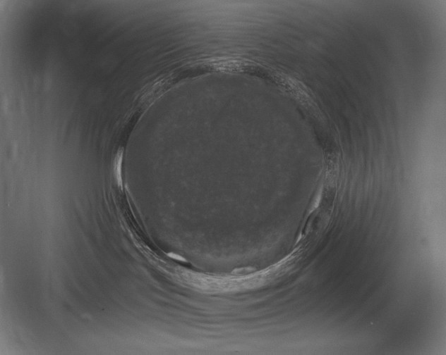 X0000082180047200702092321