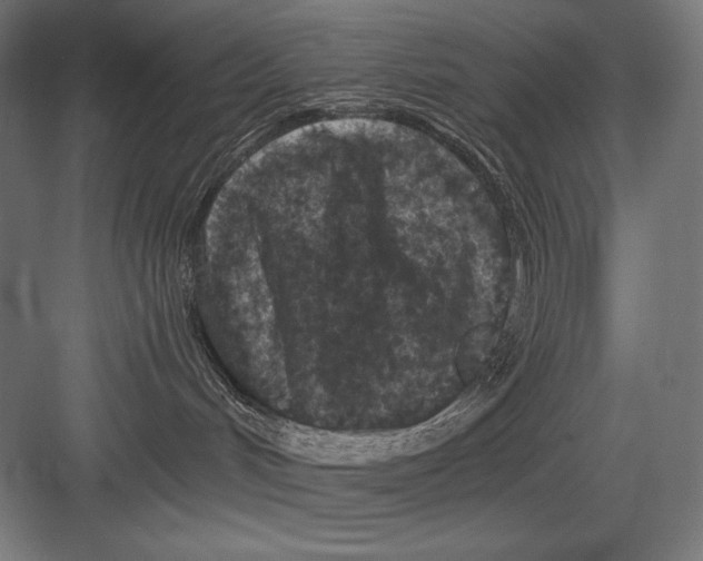 X0000082180048200702092321