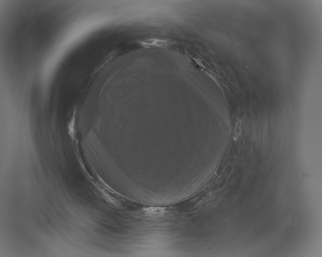X0000082180052200702092320