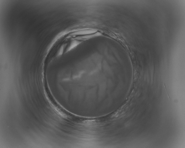 X0000082180054200702092320