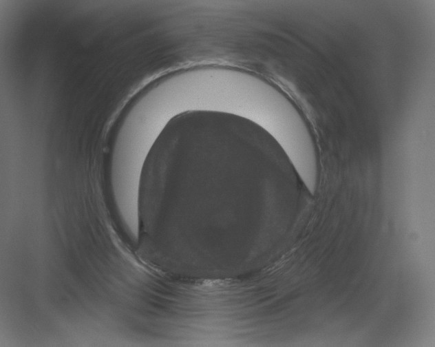 X0000082180060200702092320