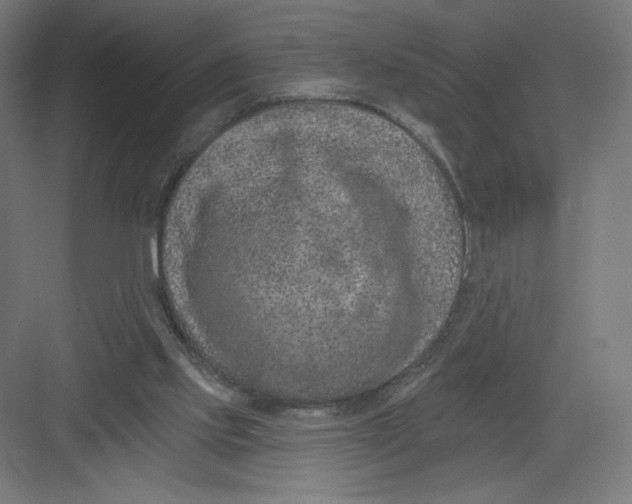 X0000082180061200702092320
