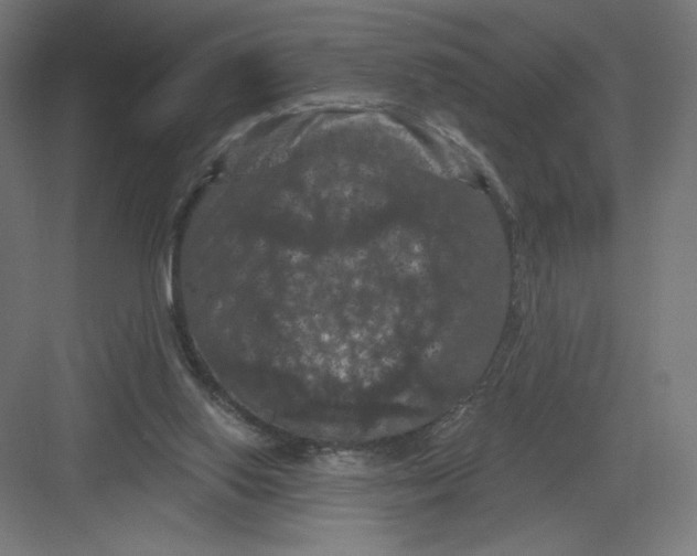 X0000082180062200702092320