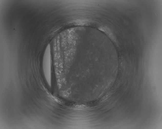 X0000082180066200702092320