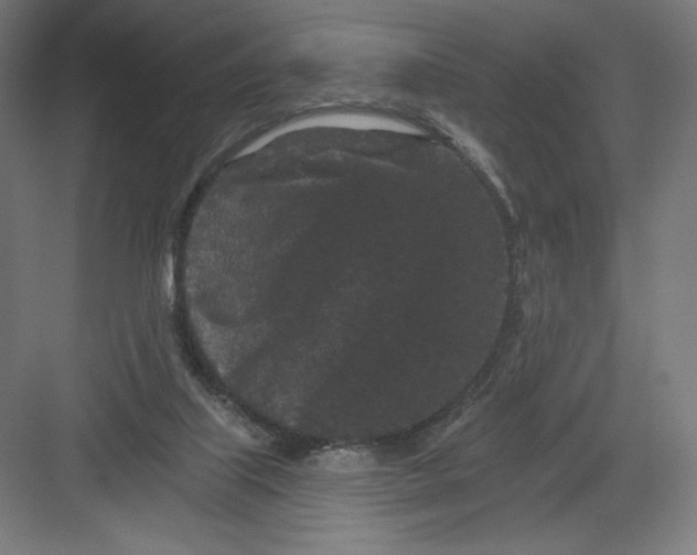 X0000082180067200702092320