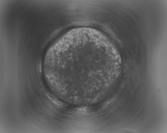 X0000082180068200702092320