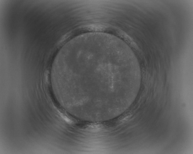 X0000082180071200702092320