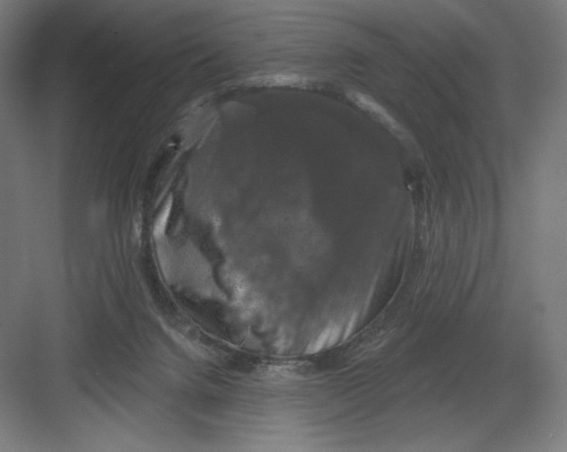X0000082180072200702092320