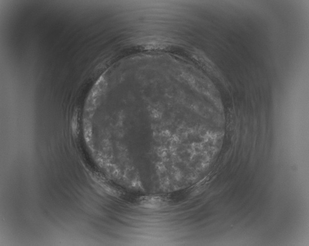 X0000082180074200702092320