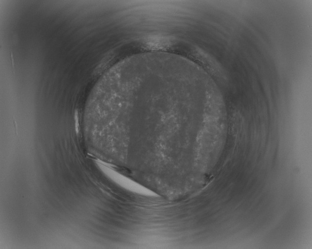 X0000082180075200702092320