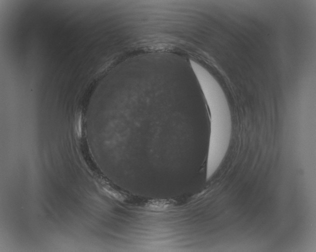 X0000082180076200702092320