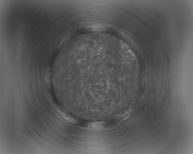 X0000082180078200702092320