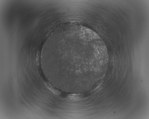 X0000082180082200702092320