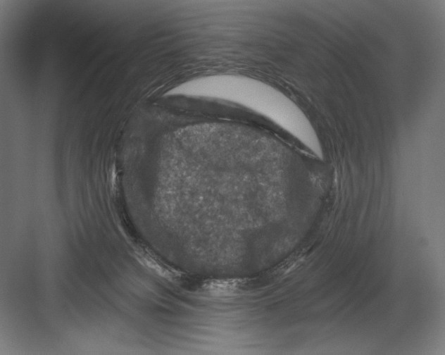 X0000082180084200702092320