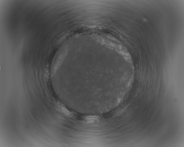 X0000082180085200702092320