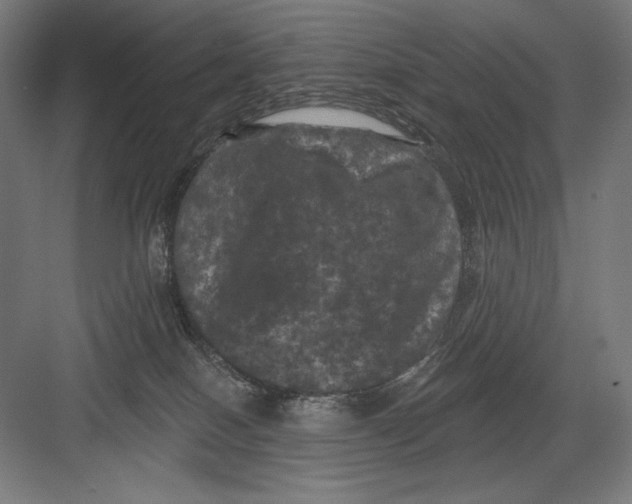 X0000082180086200702092320