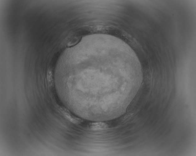 X0000082180087200702092320