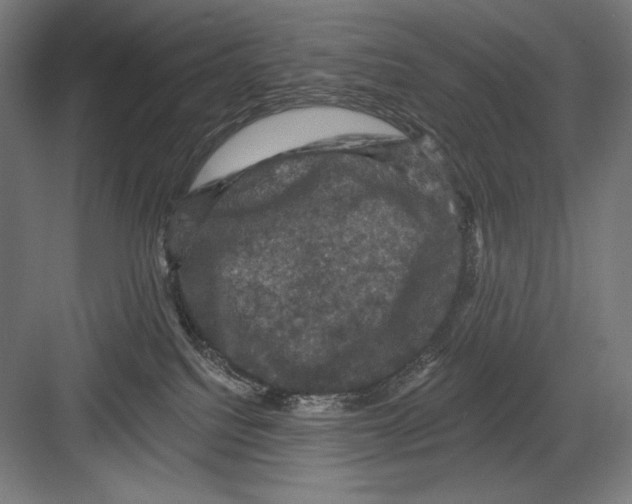 X0000082180088200702092320