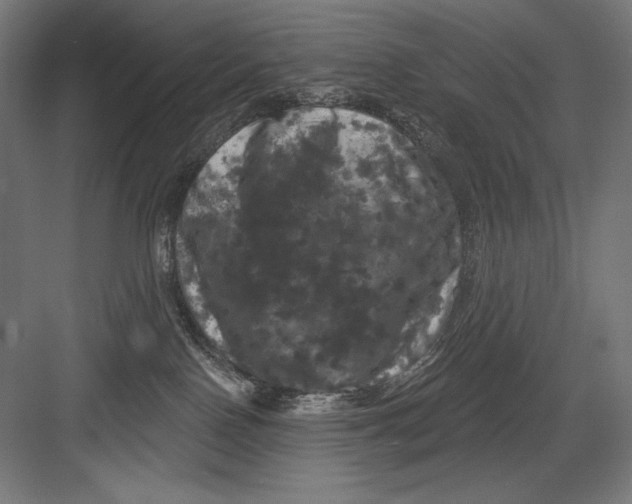 X0000082180090200702092320