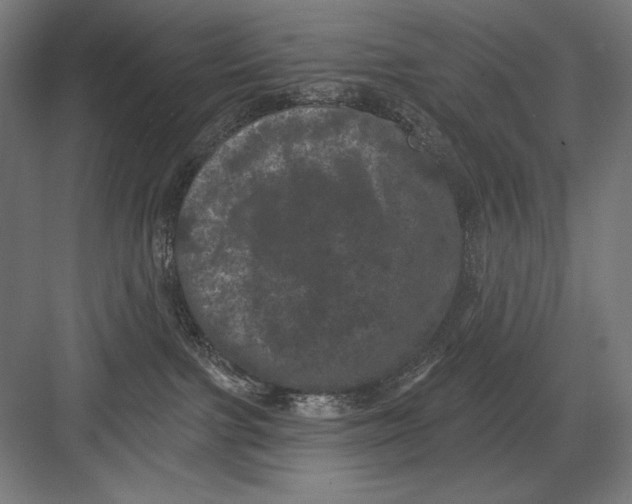 X0000082180091200702092320