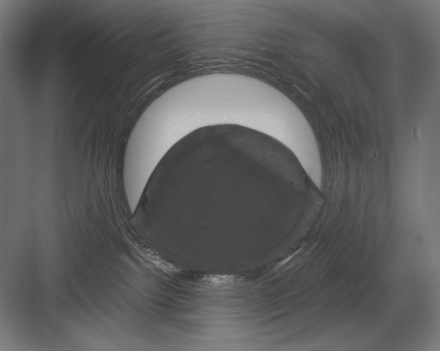 X0000082180092200702092320