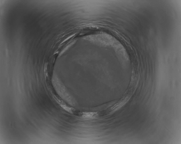 X0000082180096200702092321