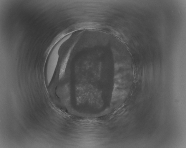 X0000082180099200702092320
