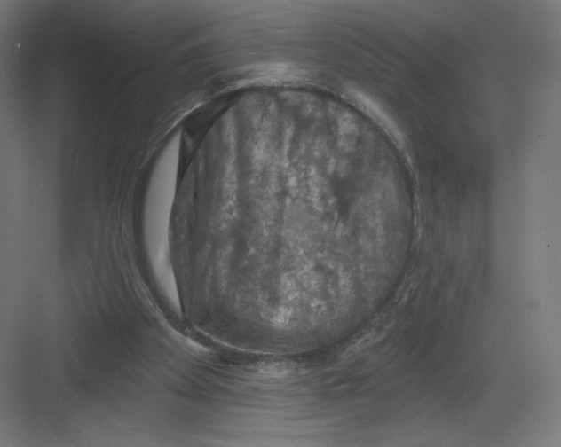 X0000082180105200702092320