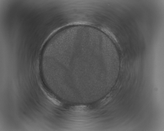 X0000082180108200702092320