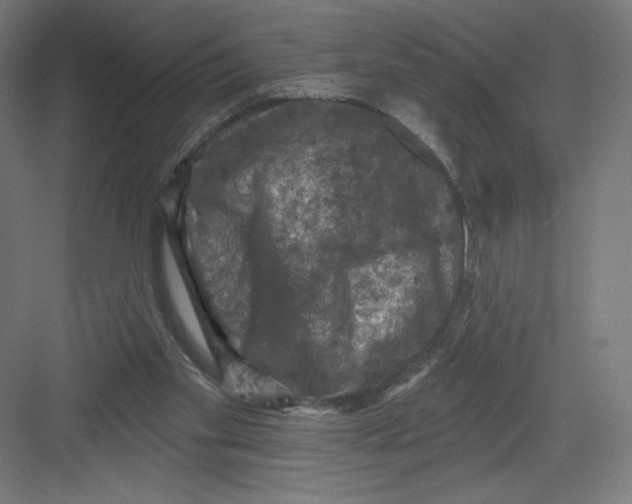 X0000082180109200702092320