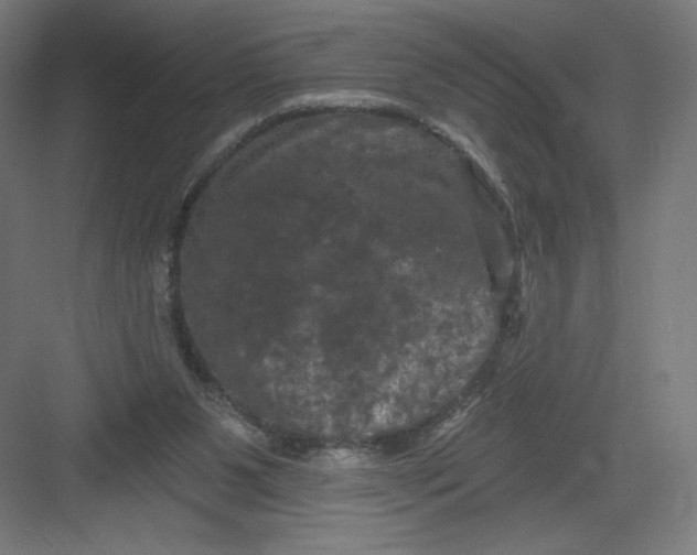 X0000082180111200702092319