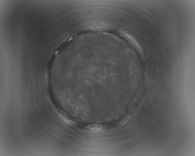 X0000082180113200702092319