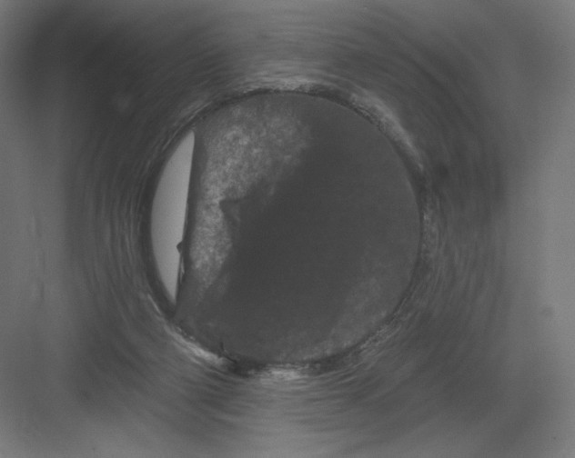 X0000082180114200702092319