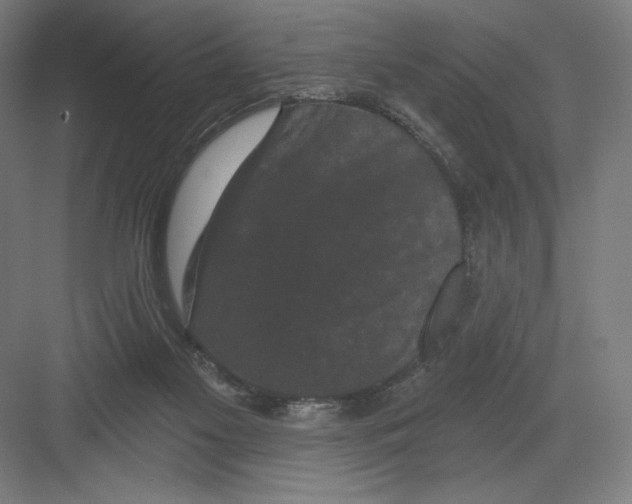 X0000082180117200702092319