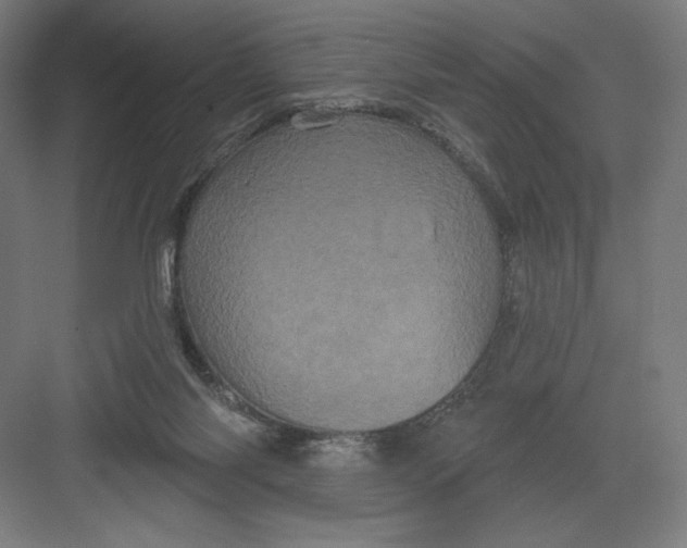 X0000082180118200702092319