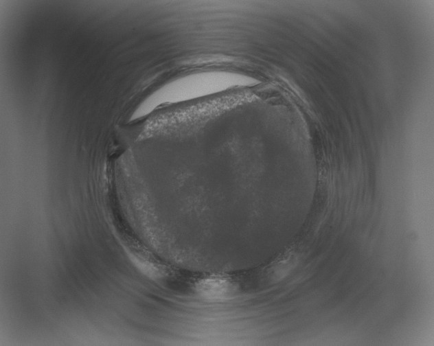 X0000082180119200702092319