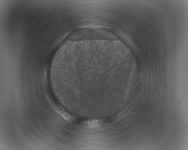 X0000082180120200702092319