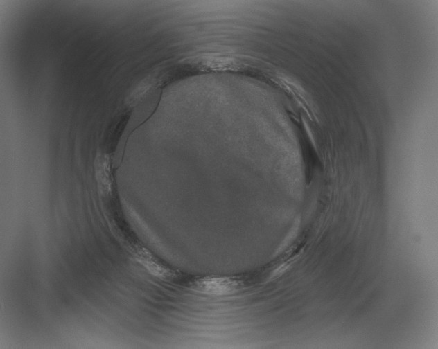 X0000082180121200702092319