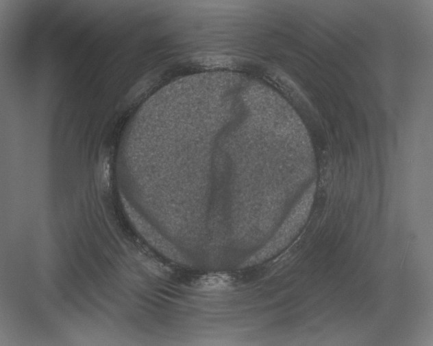 X0000082180124200702092319
