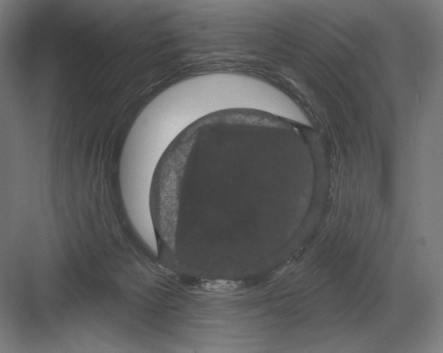 X0000082180125200702092319