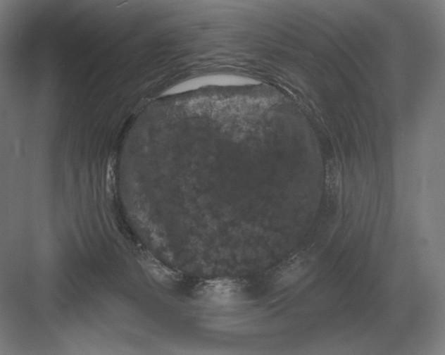 X0000082180127200702092319
